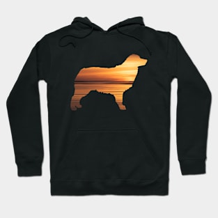 Australian Shepherd Sunset Hoodie